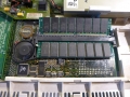 BPPC_Testing1