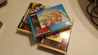 ProtectionCase_SNES4