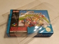 ProtectionCase_SNES1
